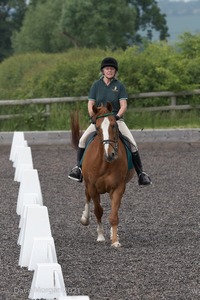 ISIS Dressage Challenge 2008